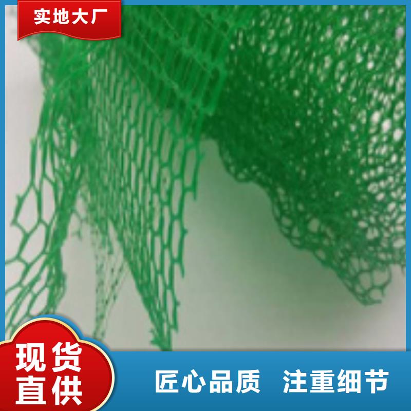 三维土工网垫价格