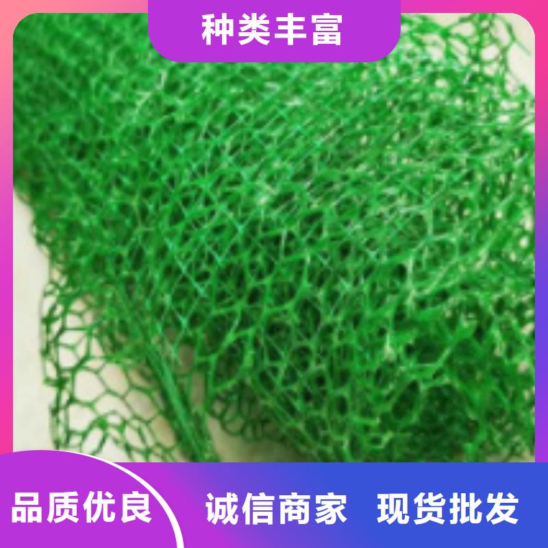 三维植被网直供厂家