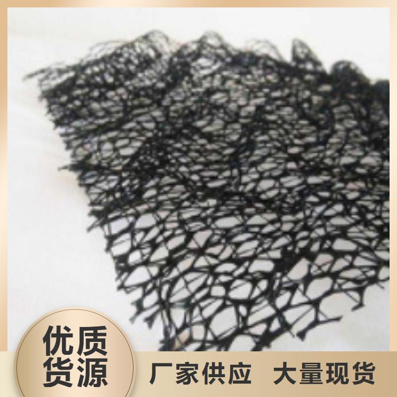 三维土工网垫-三维植被网厂家