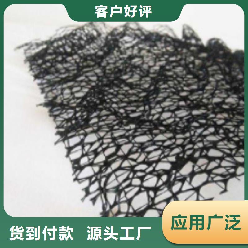 三维土工网垫批发价