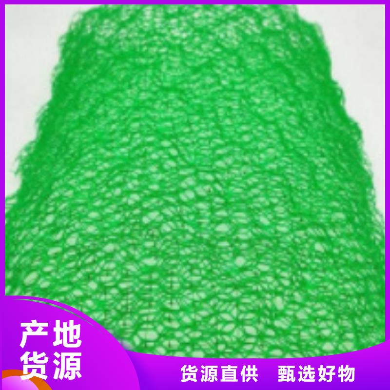 三维土工网垫防止水土流失