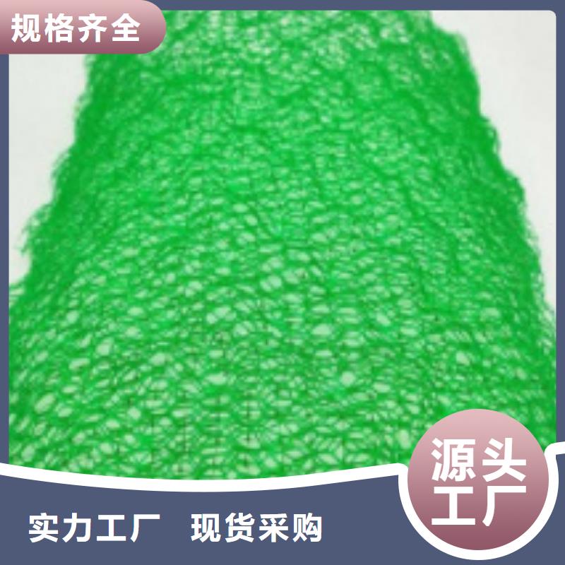 三维植被网水泥化粪池优良工艺