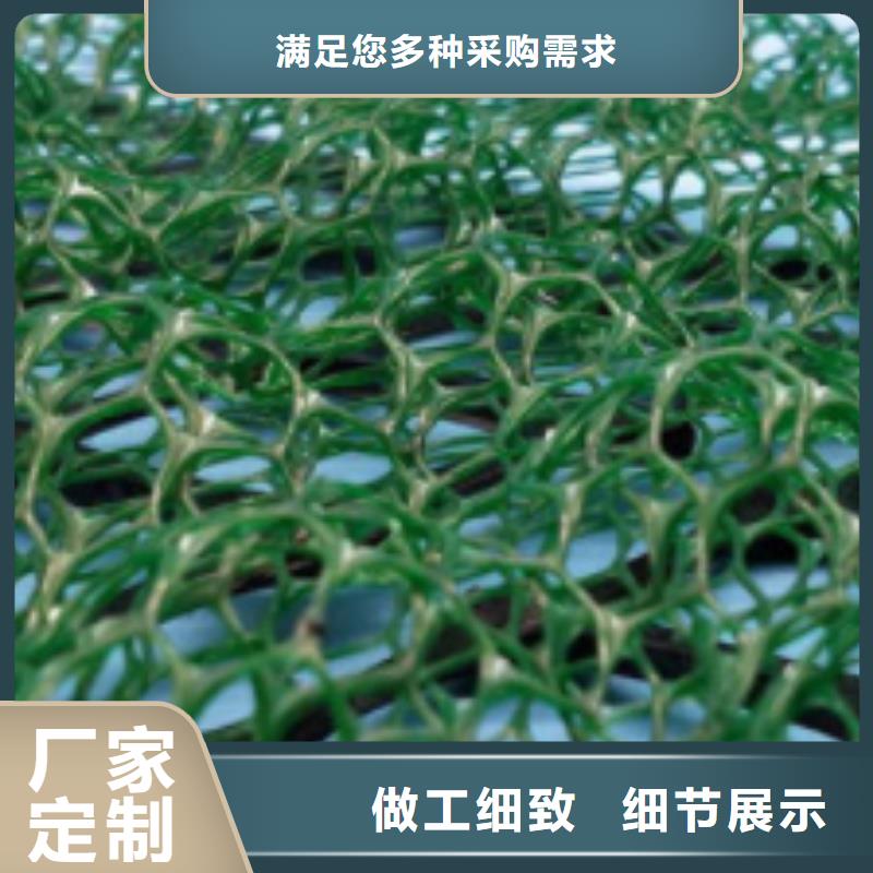 三维植被网价格