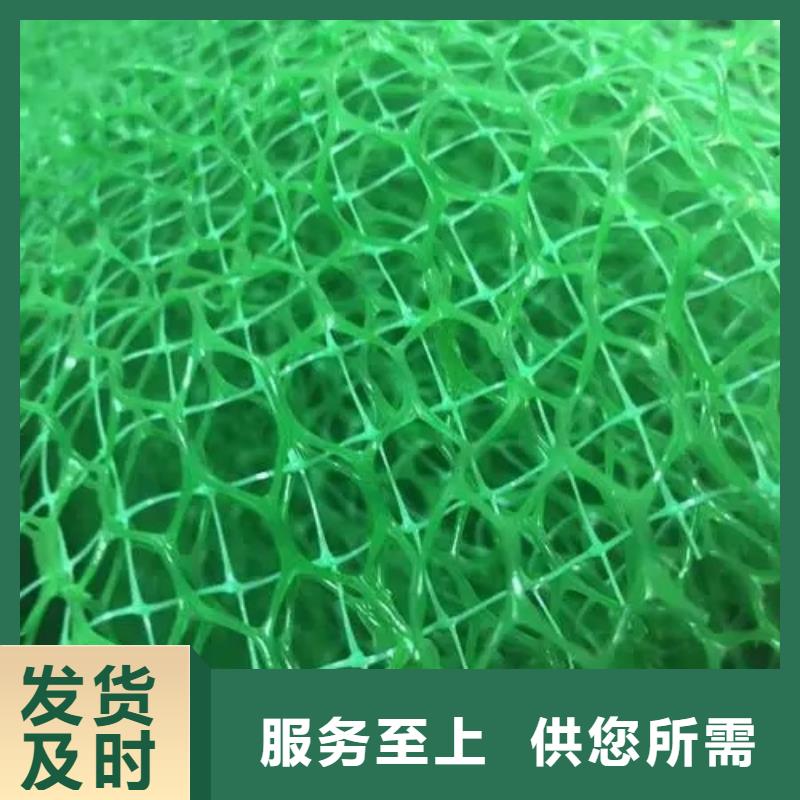 三维土工网垫型号
