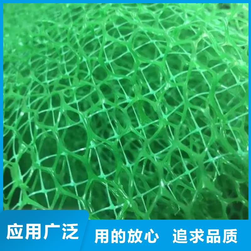 三维植被网价格