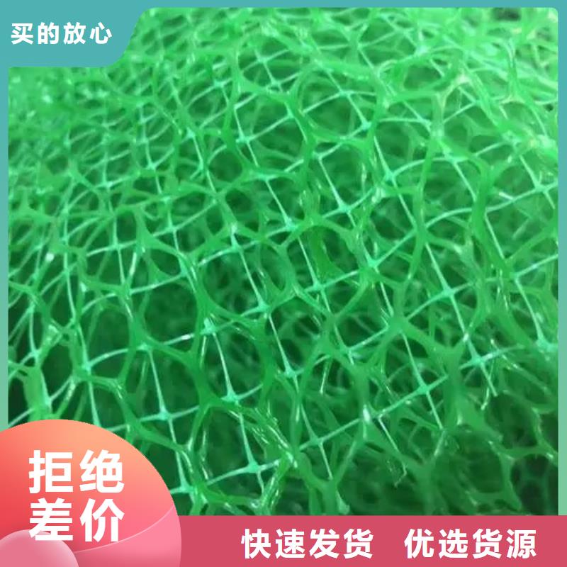 三维植被网价格