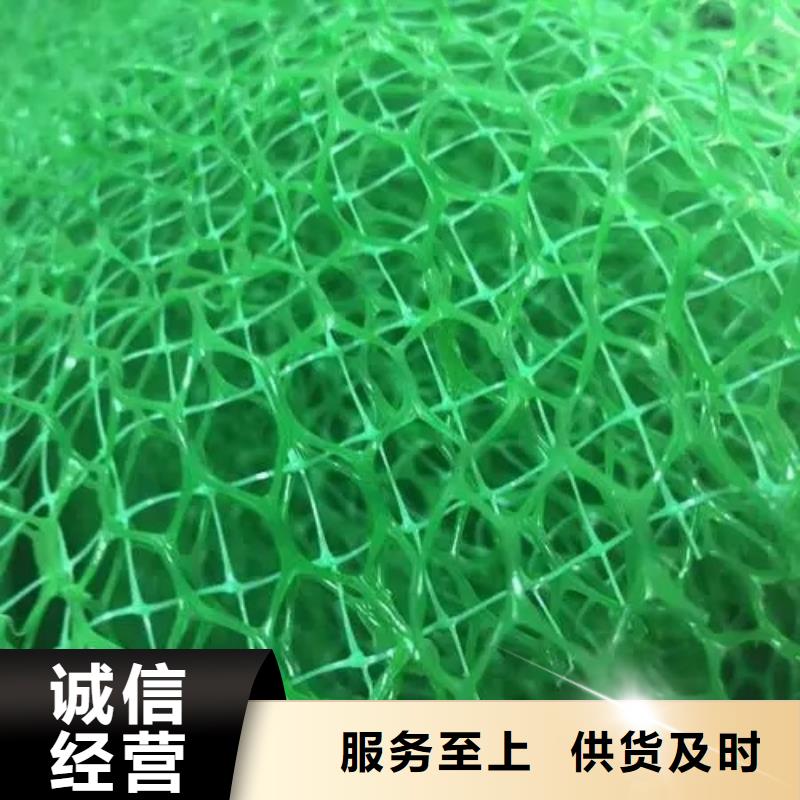 三维植被网水泥化粪池优良工艺
