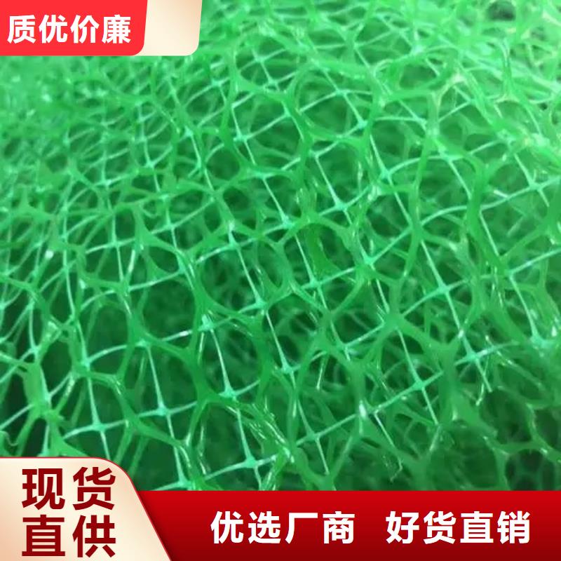 三维植被网,防护虹吸排水收集系统诚信为本