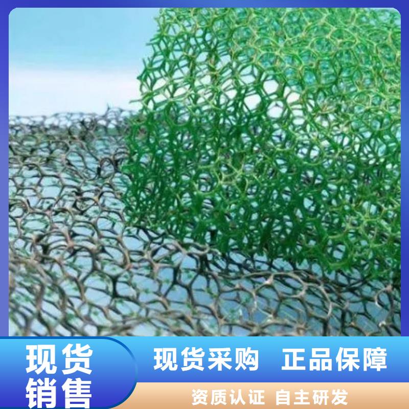 三维植被网植草格保障产品质量