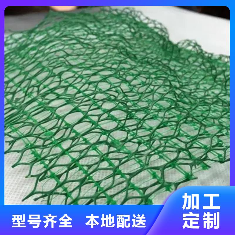 三维土工网垫诚信厂家
