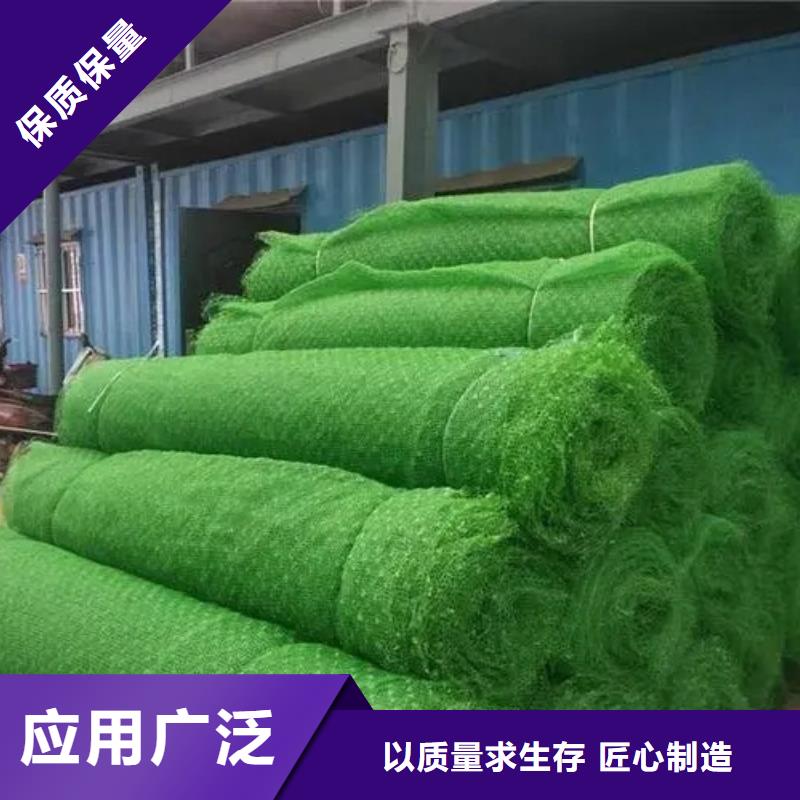 三维植被网防护虹吸排水收集系统现货直发