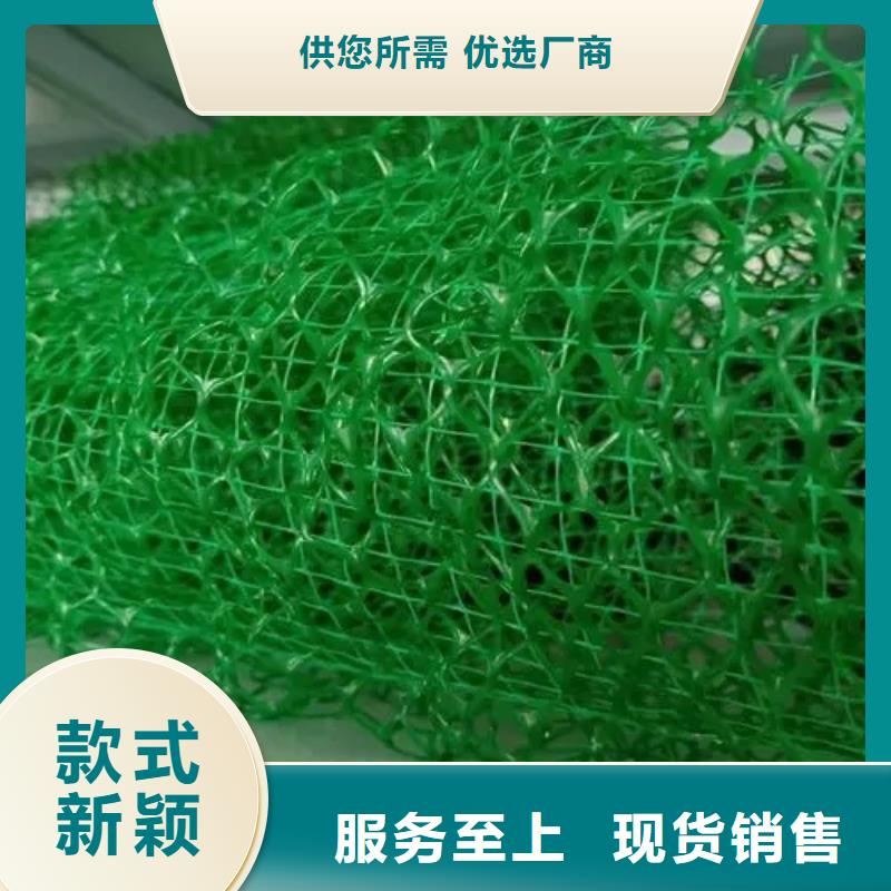 三维植被网植草格保障产品质量