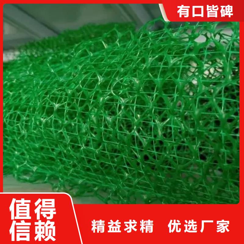 三维土工网垫厂家供应边坡复绿