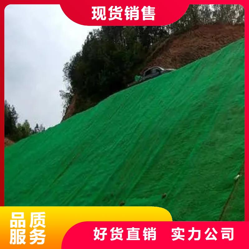 三维土工网垫厂家供应边坡复绿