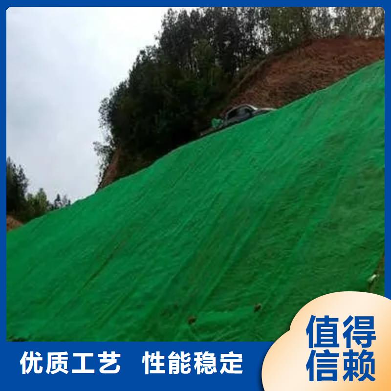 三维土工网垫批发价