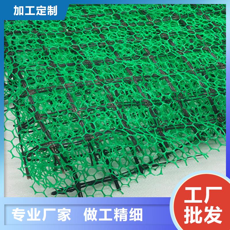 三维土工网垫厂家供应边坡复绿