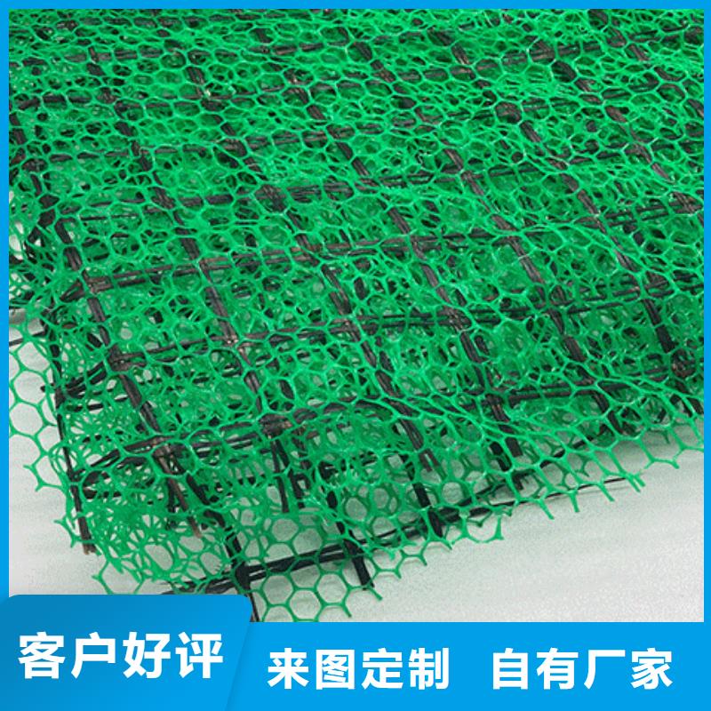 三维土工网垫防止水土流失