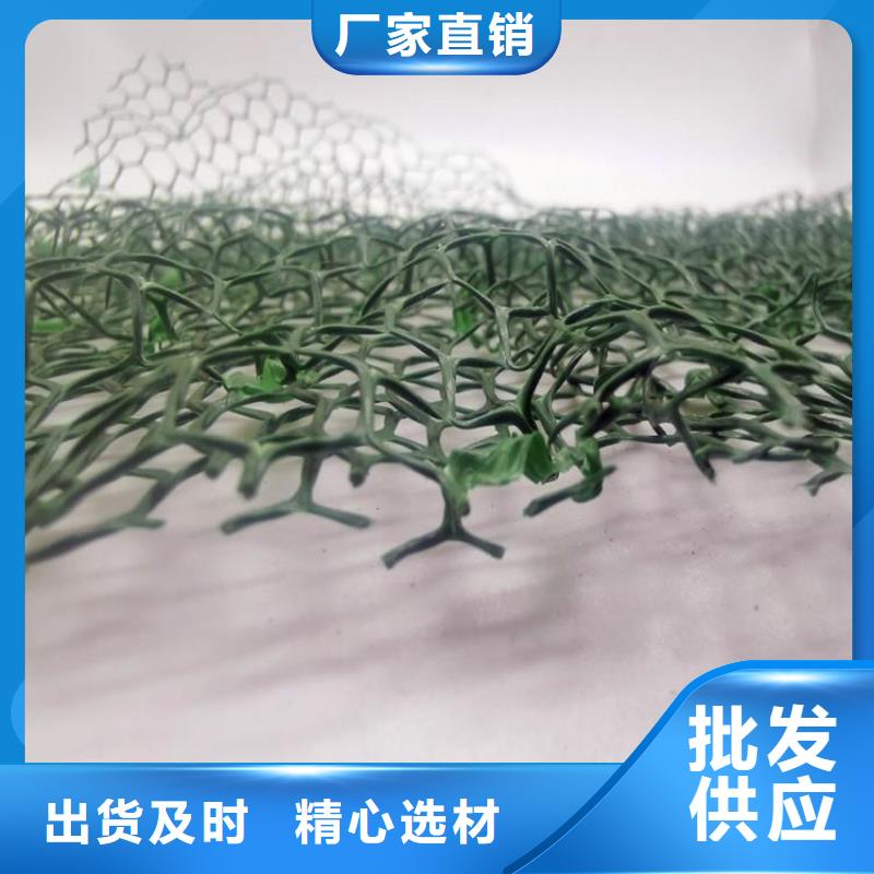三维土工网垫有限公司-批发生产