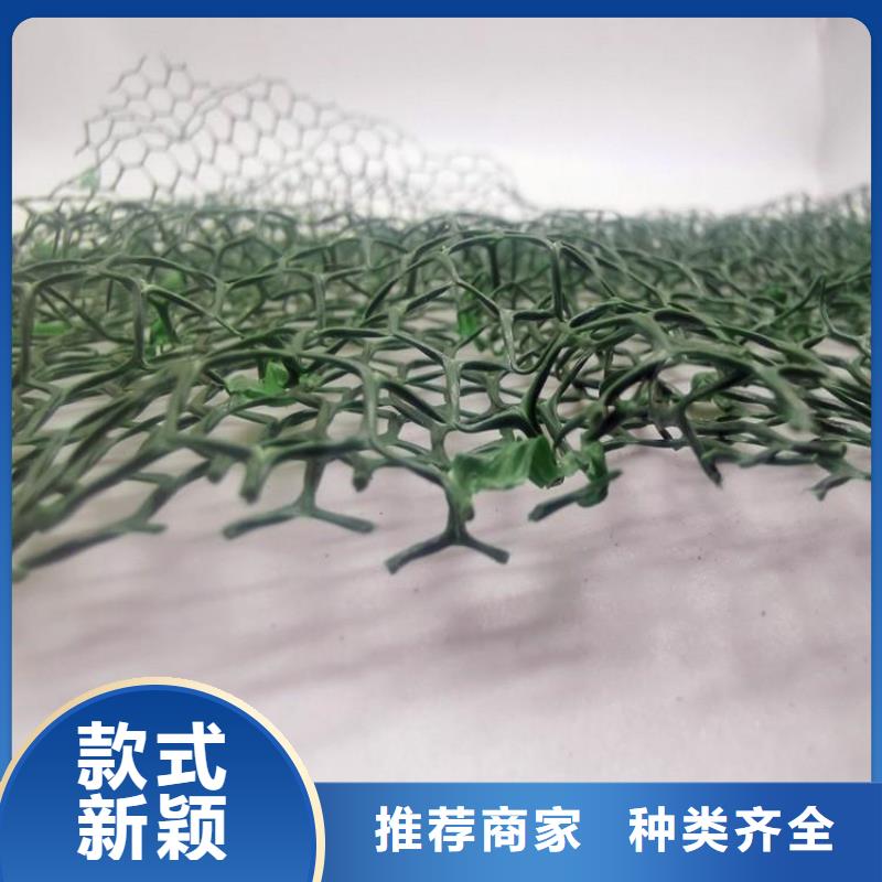 三维植被网厂家供应边坡复绿