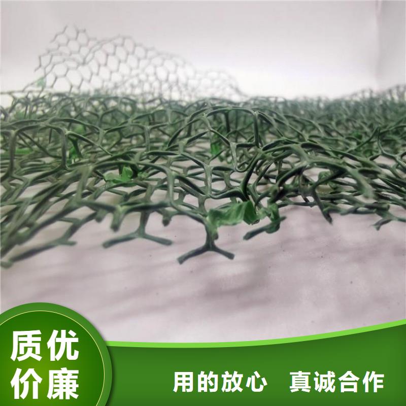 三维植被网价格