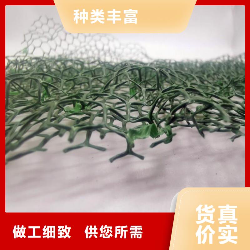 三维植被网水泥化粪池应用广泛