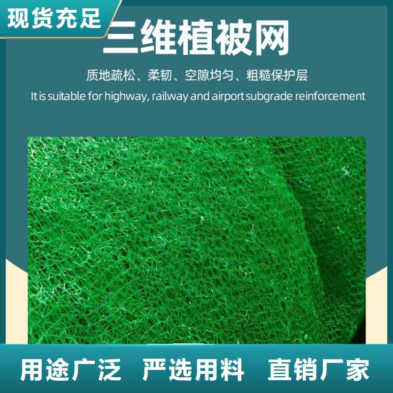 三维土工网垫2025行情价