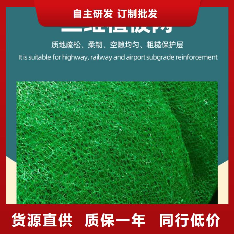 三维土工网垫厂家供应边坡复绿