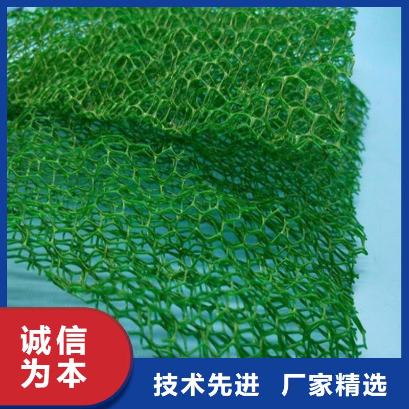 三维植被网直供厂家