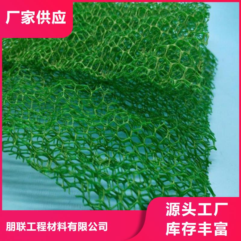 【三维植被网,植草格产品优良】
