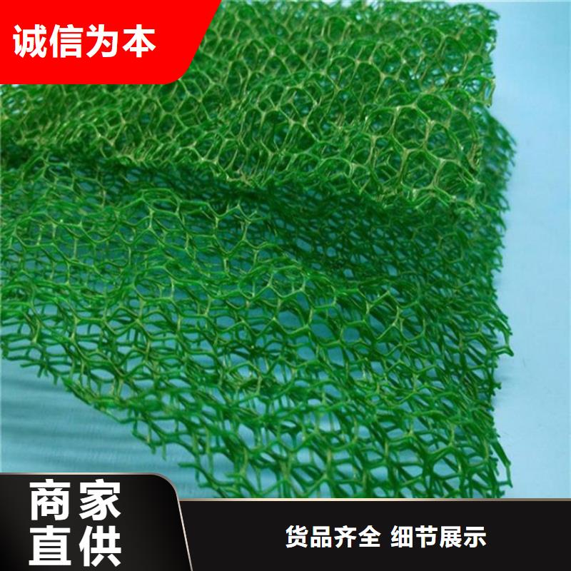 三维植被网价格