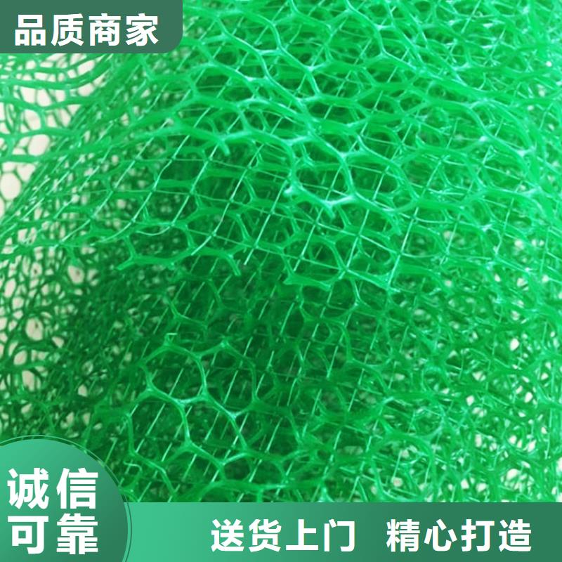 三维植被网工厂价