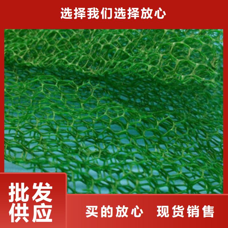 三维植被网-防护虹吸排水收集系统一站式采购商家