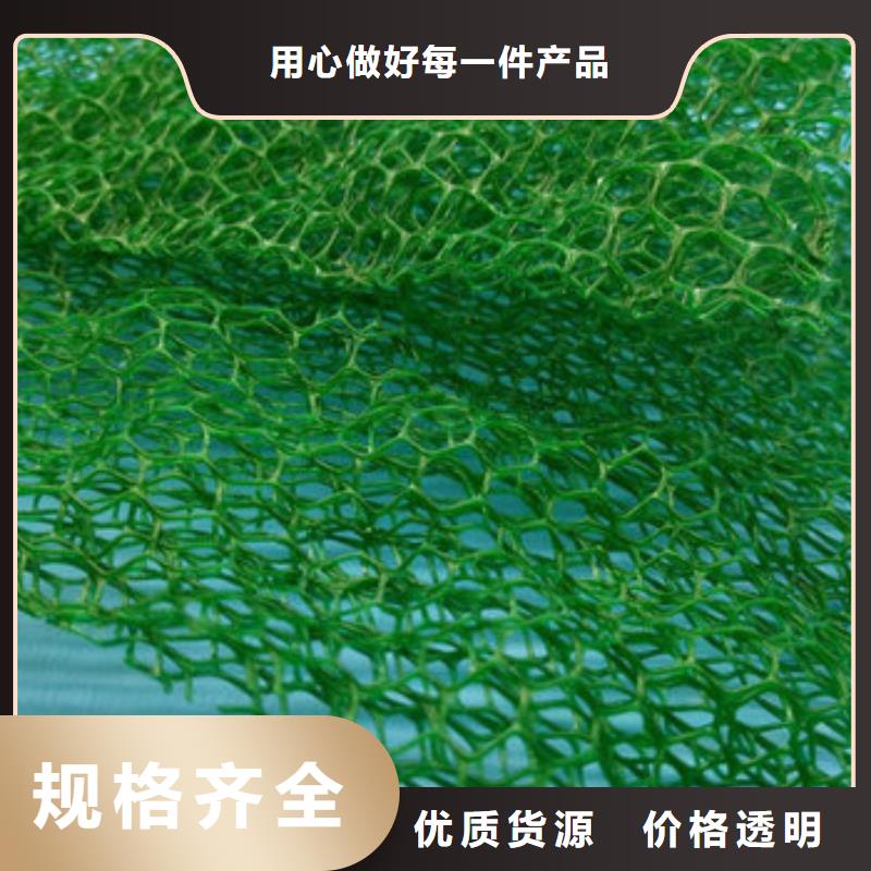 三维植被网型号全_全国供应