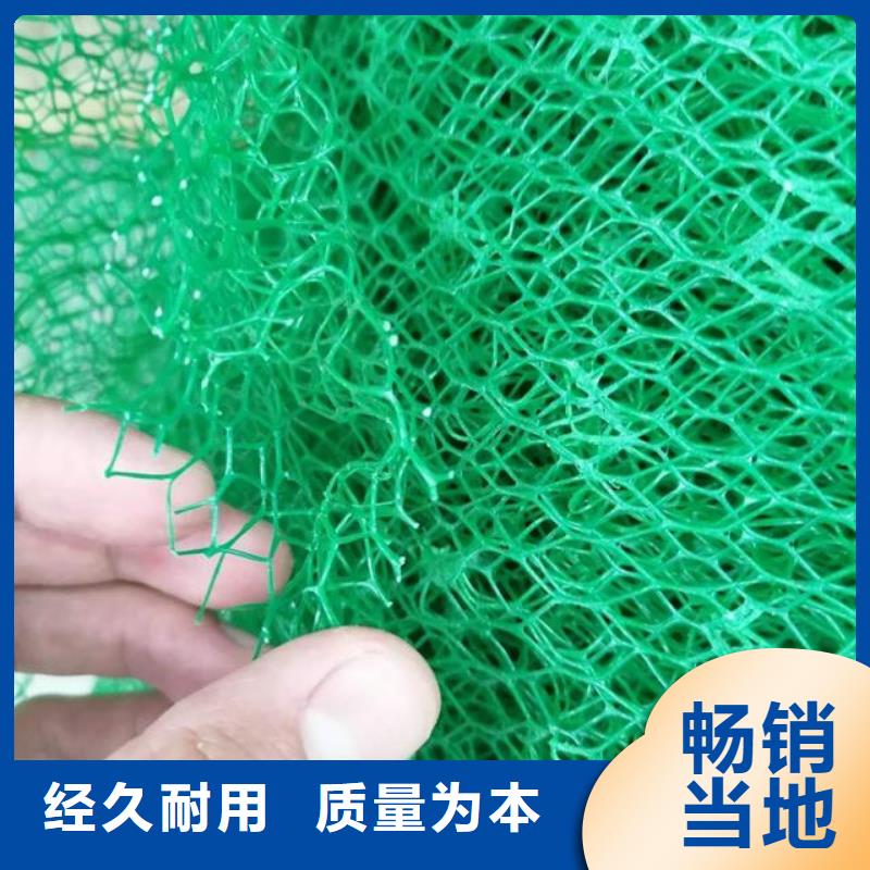 三维植被网,植草格库存量大
