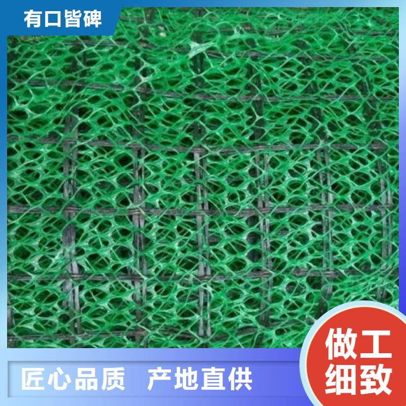 三维土工网垫价格