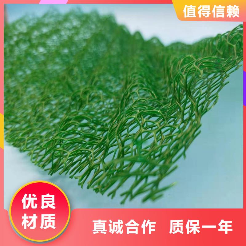 三维植被网水泥化粪池应用广泛