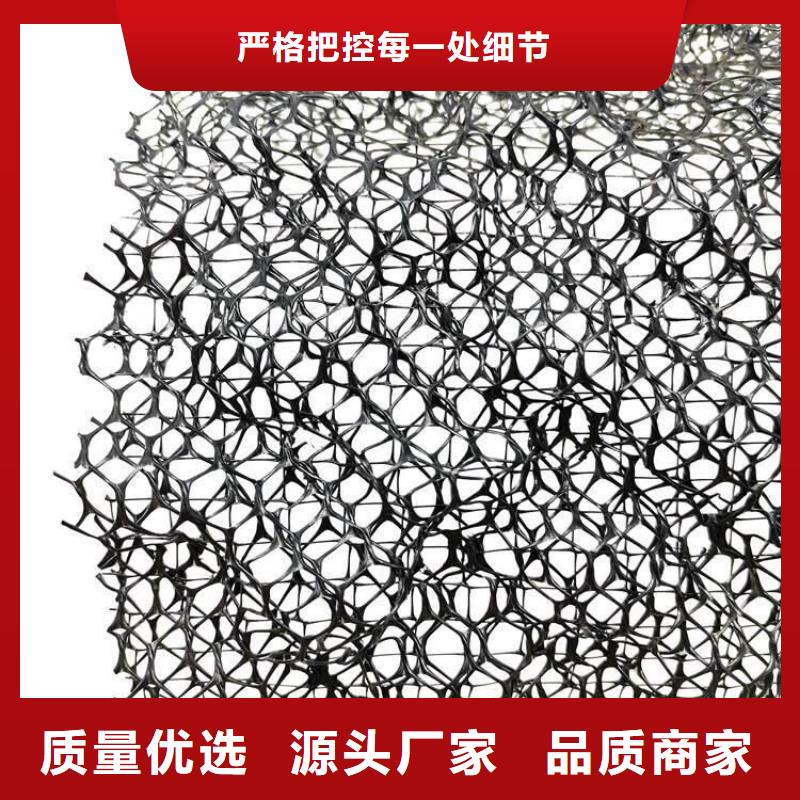 三维植被网防止水土流失