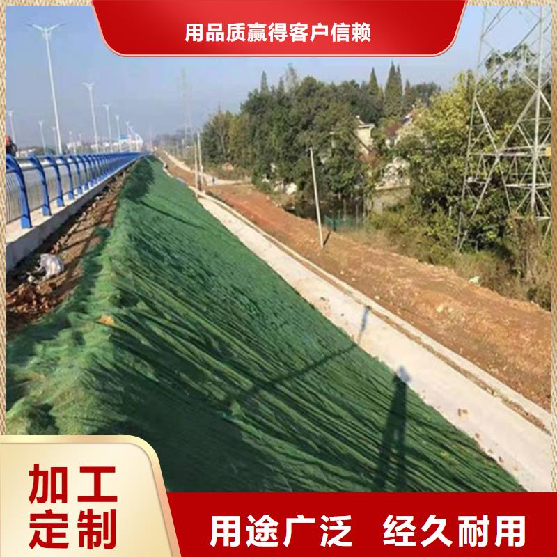 三维植被网【化粪池水泥】为您提供一站式采购服务