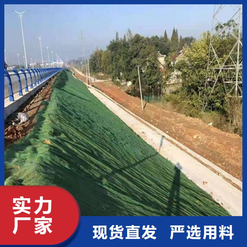 三维植被网植草格保障产品质量