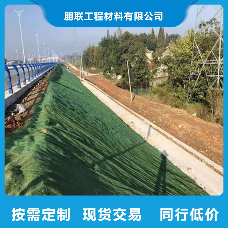 护坡土工网价格