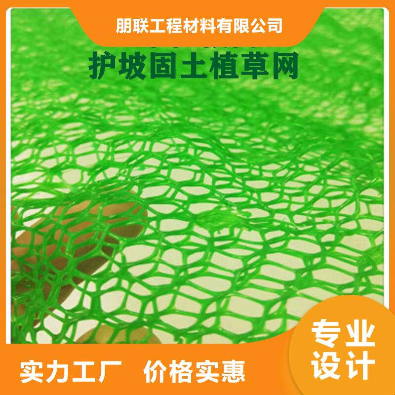 三维土工网垫防止水土流失