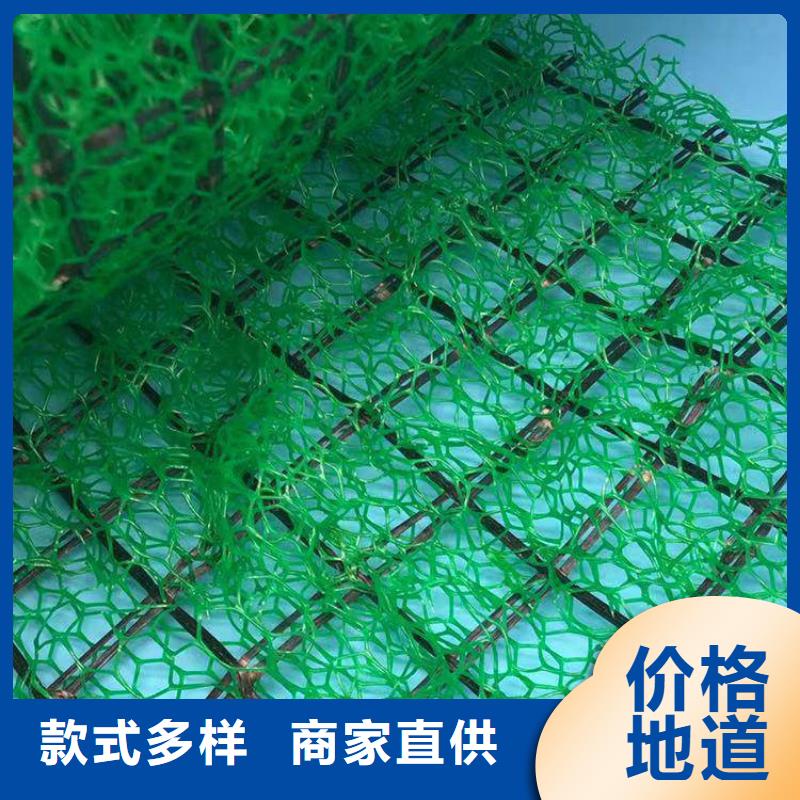 三维土工网垫防止水土流失