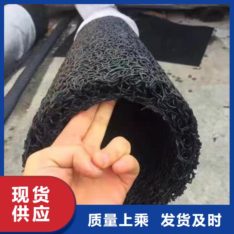 塑料盲沟土工格栅支持定制加工
