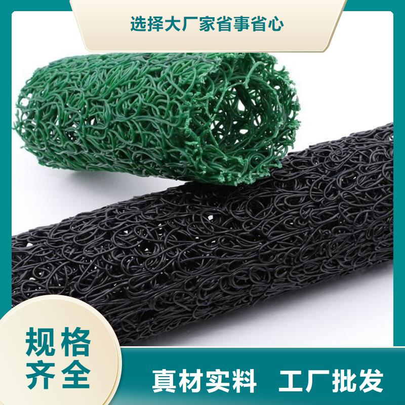 塑料盲沟<新闻播报>