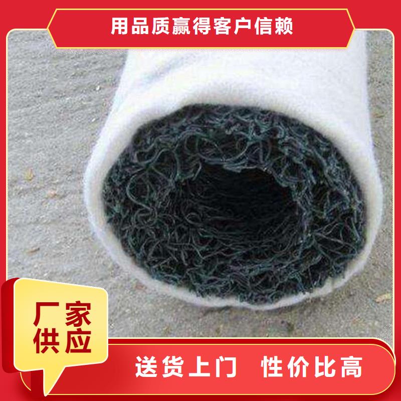 塑料盲沟复合土工膜专业的生产厂家