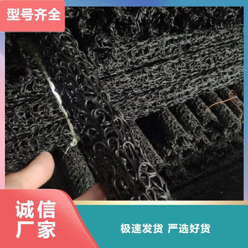 塑料盲沟—-诚信立足