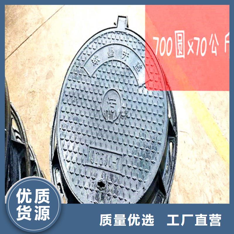 250*500球墨铸铁篦子-250*500球墨铸铁篦子按需定制