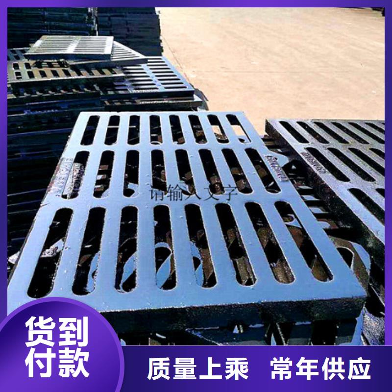 250*500球墨铸铁排水沟盖板
