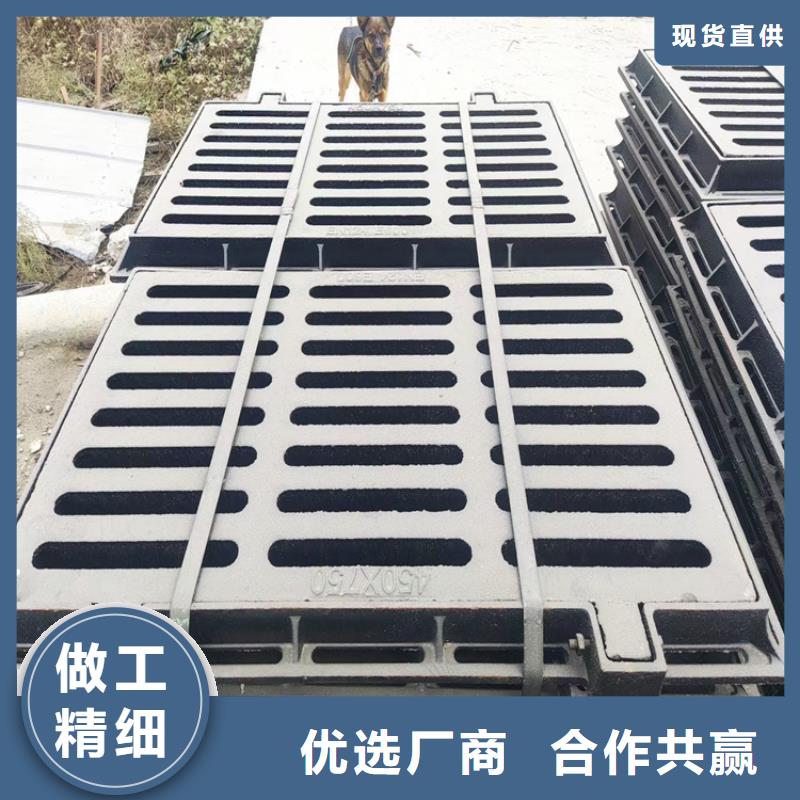 250*500*20球墨铸铁篦子雨水铸铁篦子盖板
