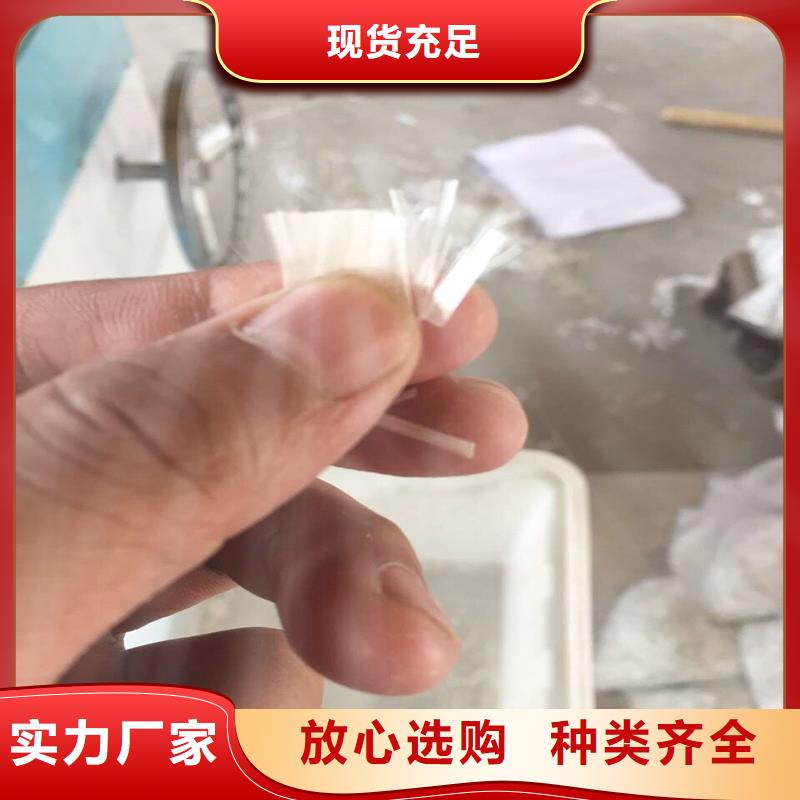 纤维最新价格